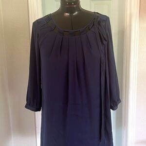 Naked Zebra silky sheath dress